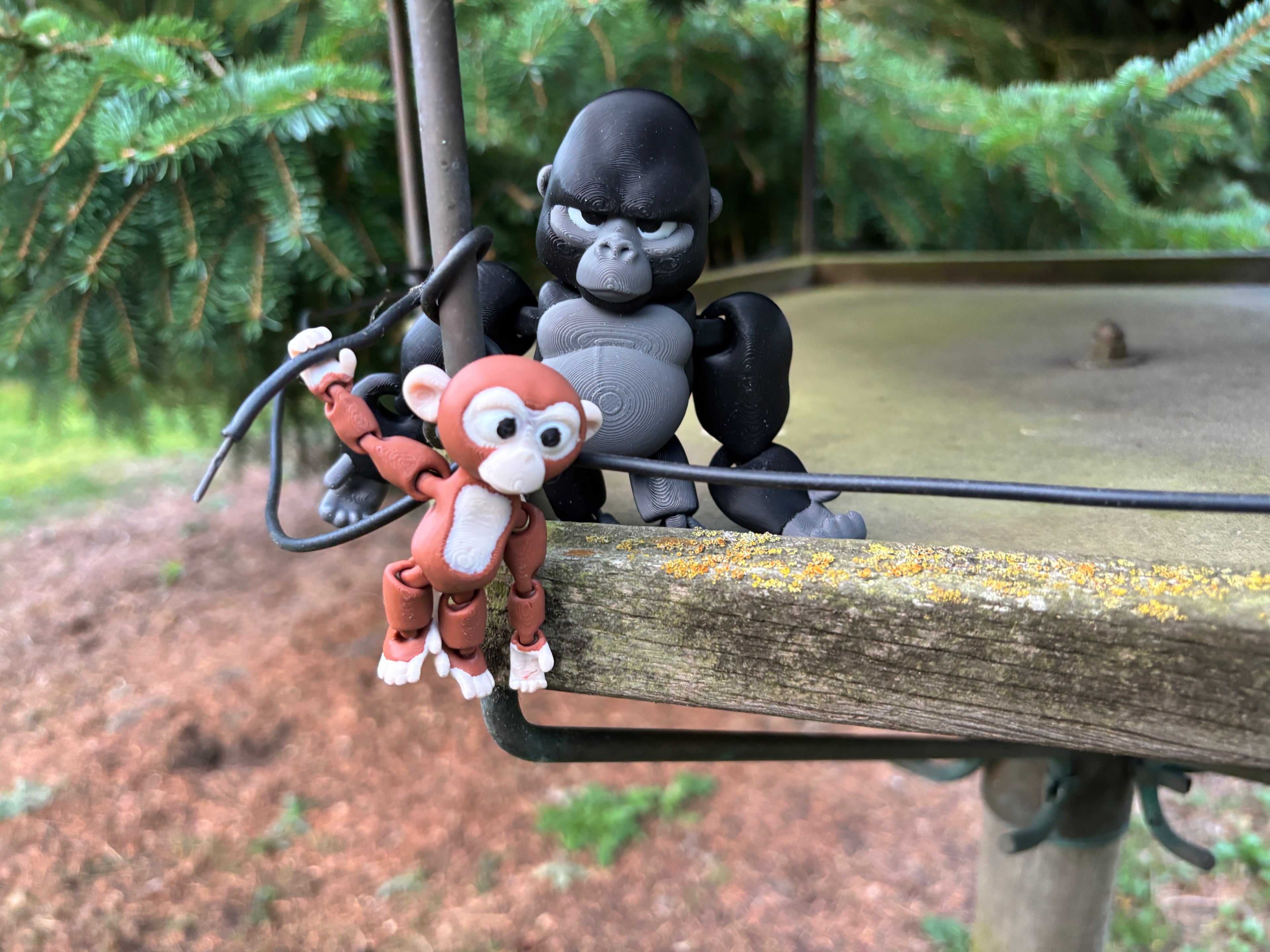 Grumble, the Silent Guardian of the Forgotten Jungle