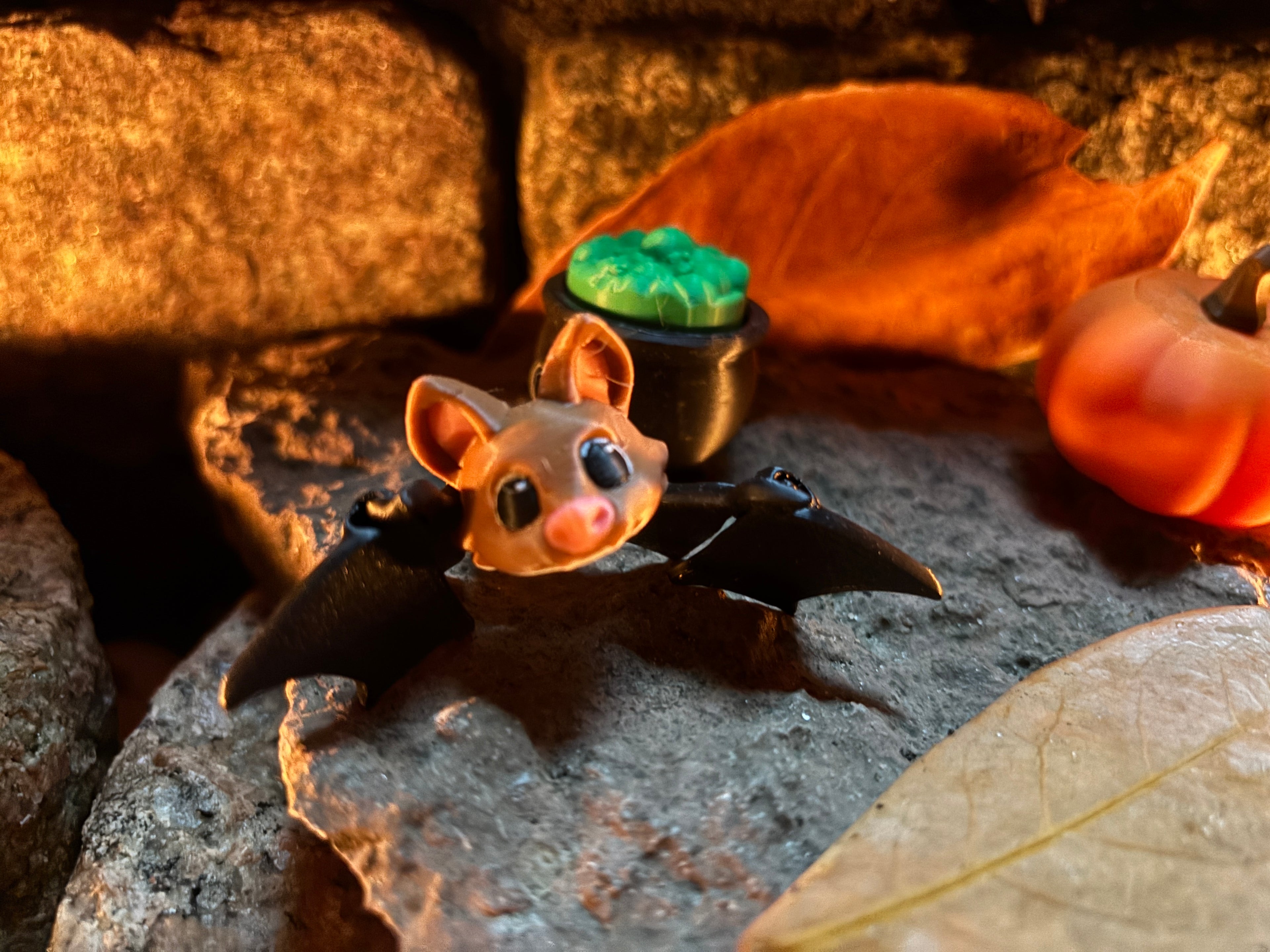 Pipsqueak Midnight (nicknamed “Pip” for friends)