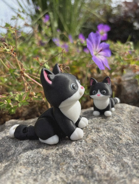 Mittens, the Midnight Library Cat of Whimsey’s Window