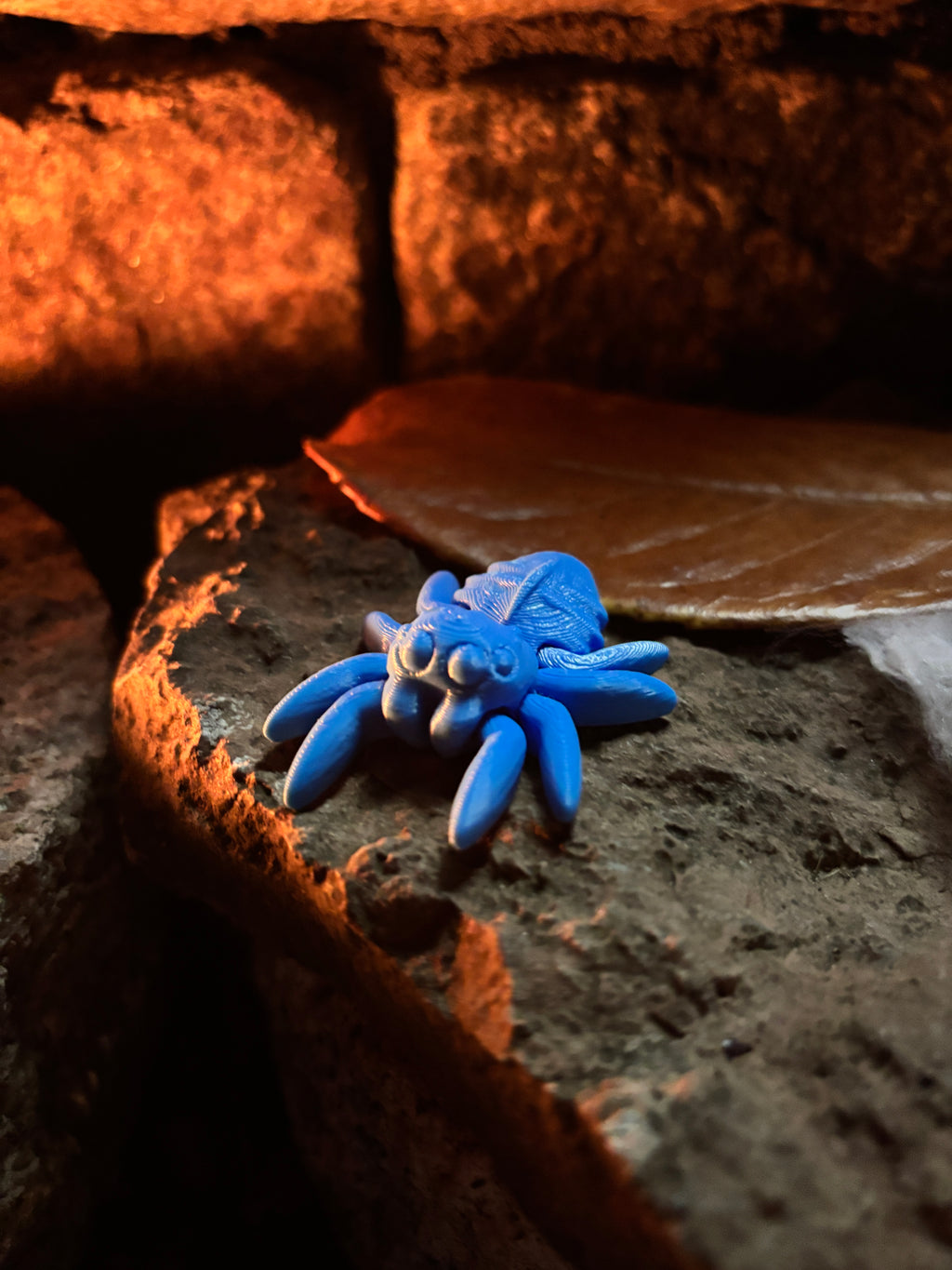 The Trickletide Spindle-Spiders – the secret keepers of the pumpkin patch