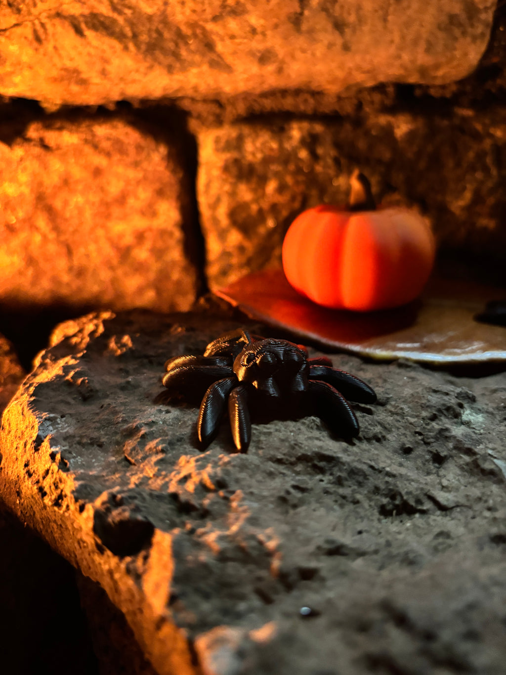 The Trickletide Spindle-Spiders – the secret keepers of the pumpkin patch