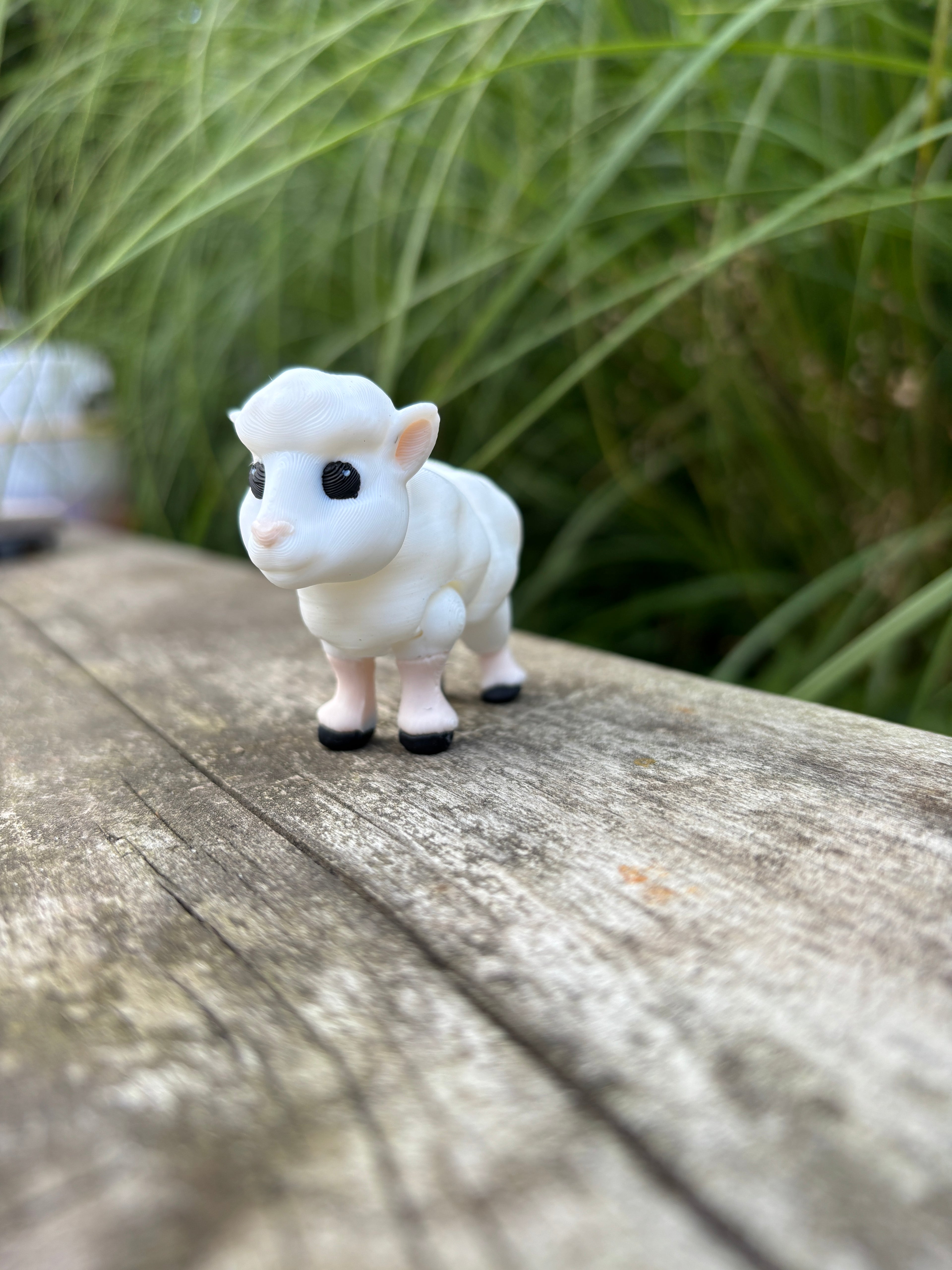 Welcome to Whimsey & Whiley’s Early Christmas Gift!