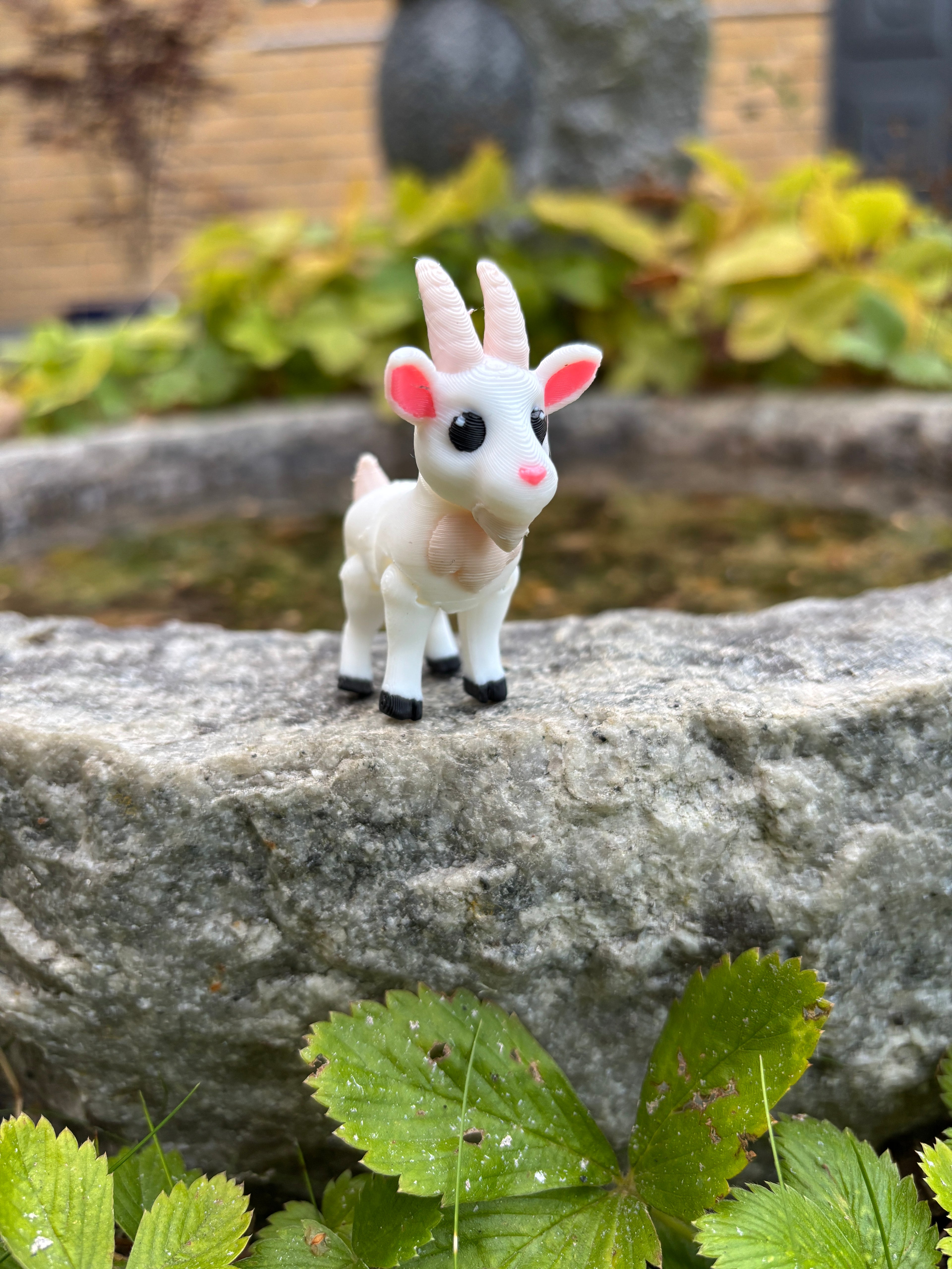 Gideon, the Giggling Mountain Kid of Meadowbrook