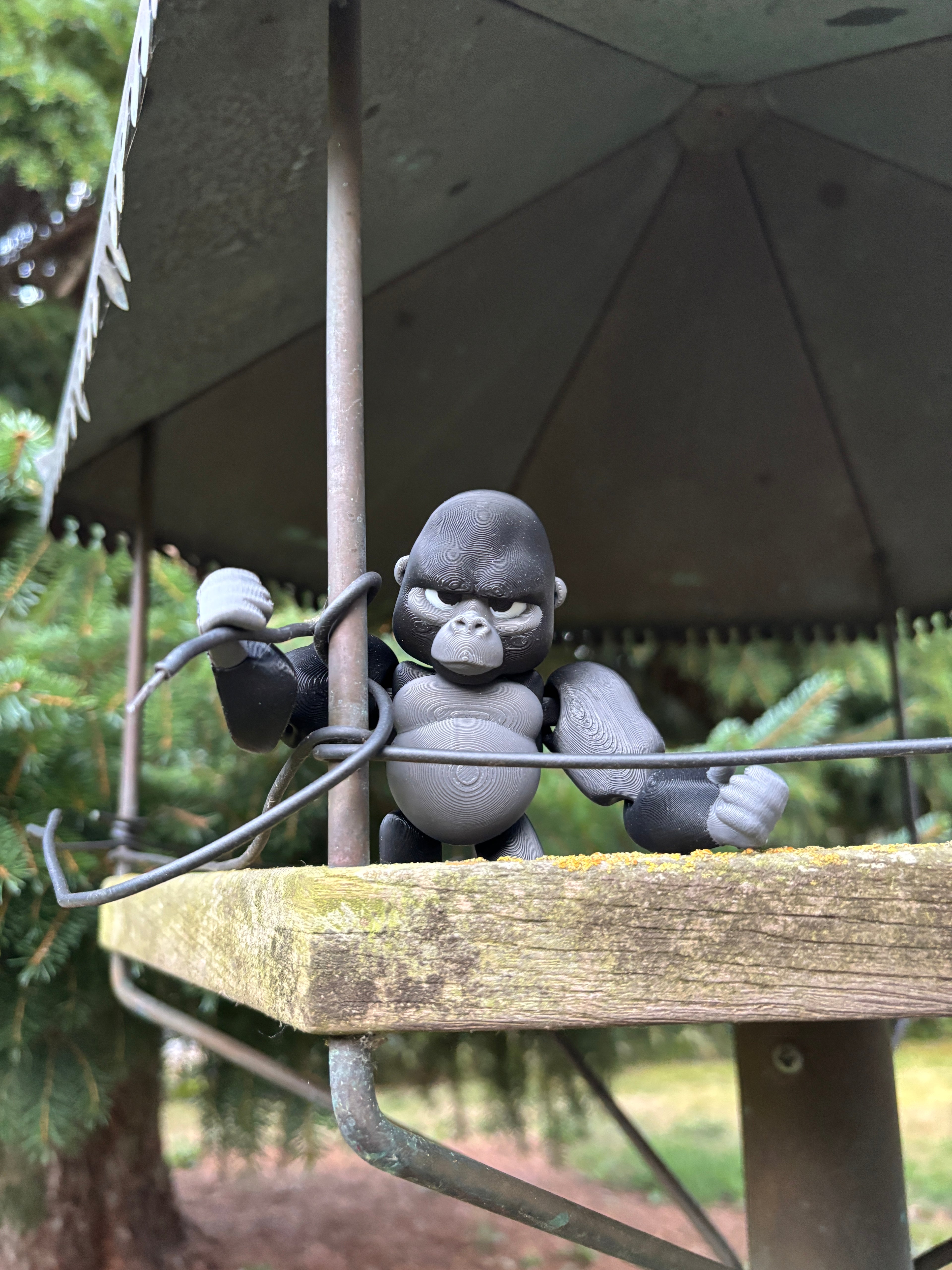 Grumble, the Silent Guardian of the Forgotten Jungle