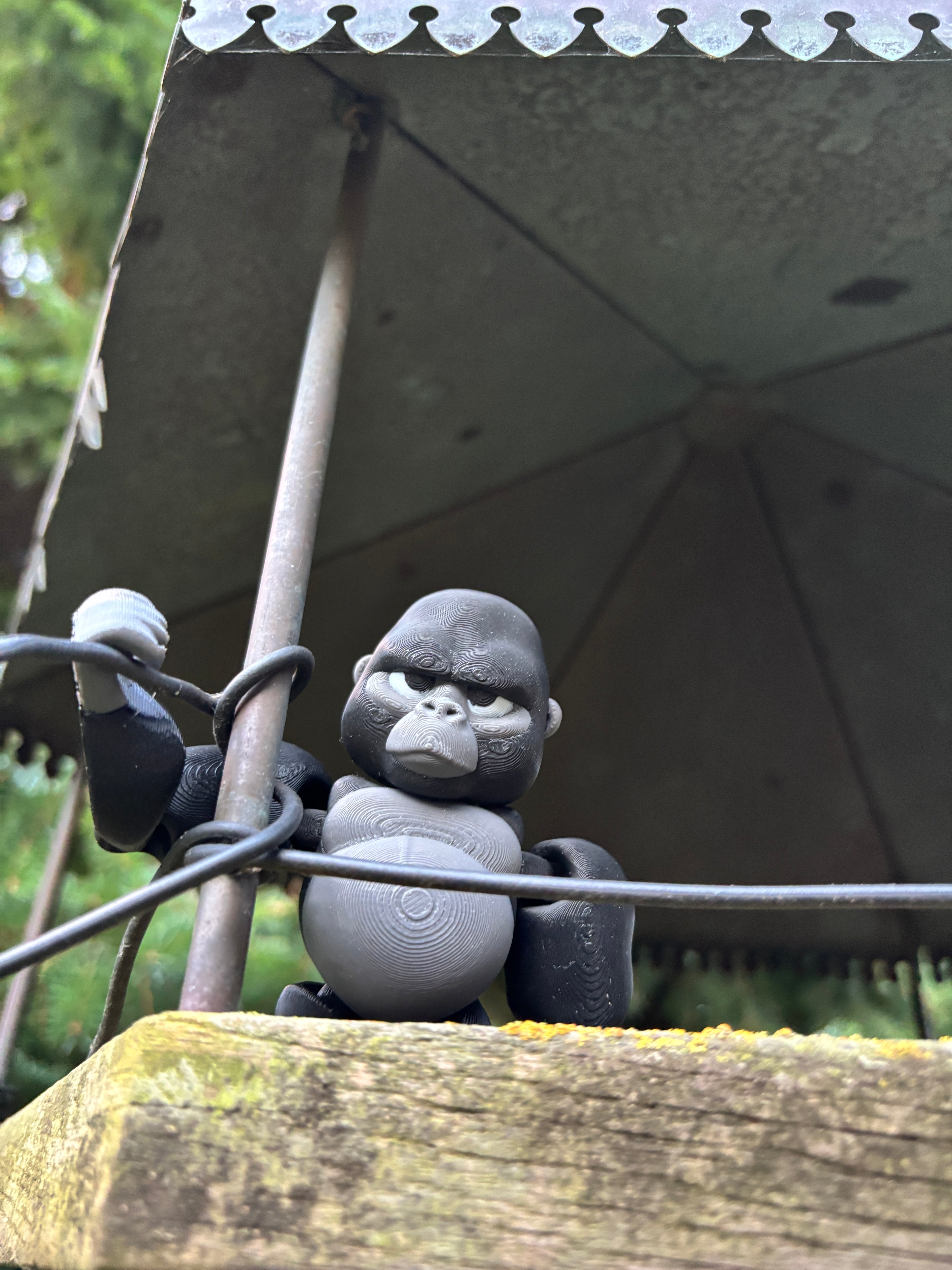 Grumble, the Silent Guardian of the Forgotten Jungle