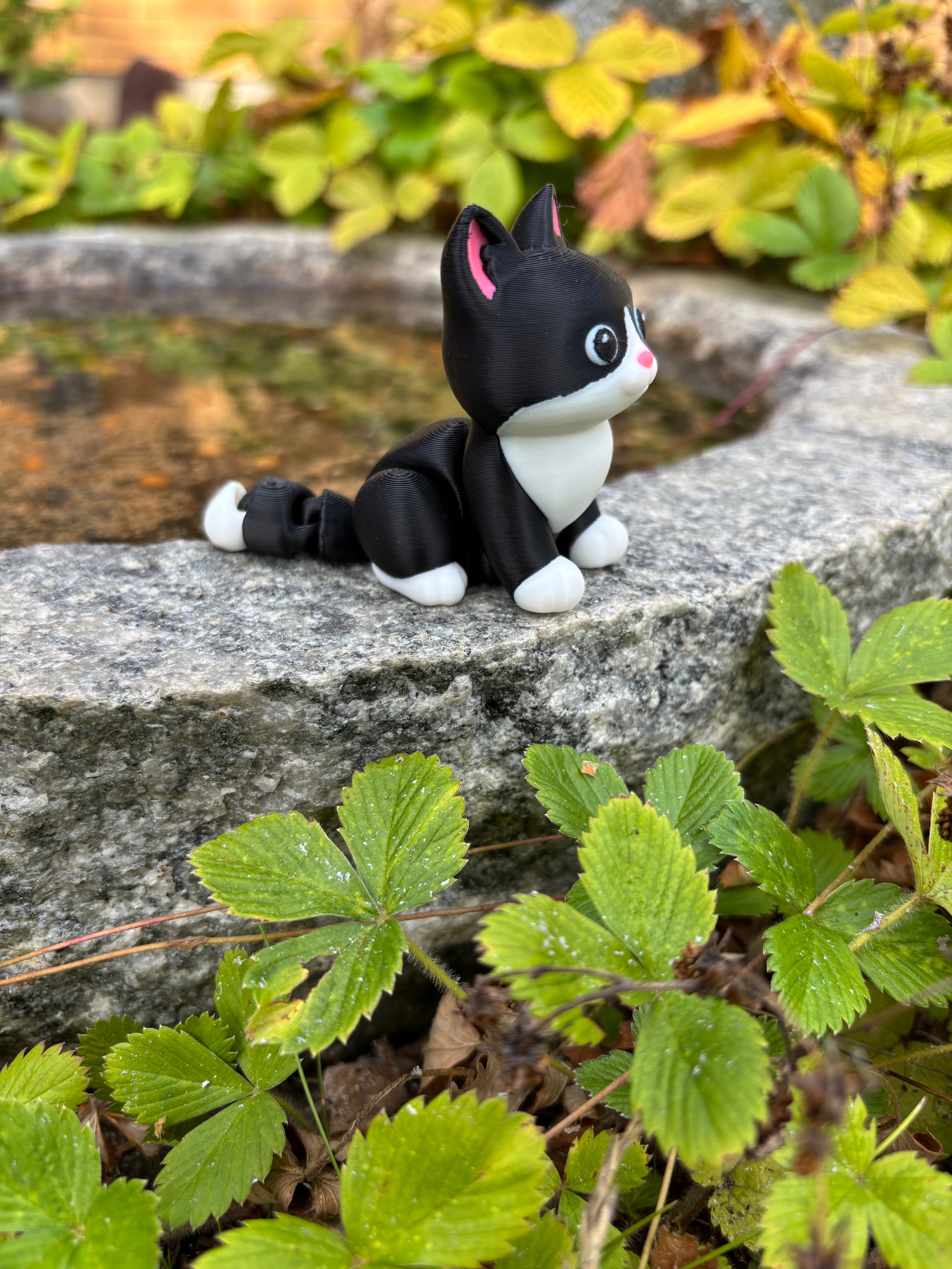 Mittens, the Midnight Library Cat of Whimsey’s Window