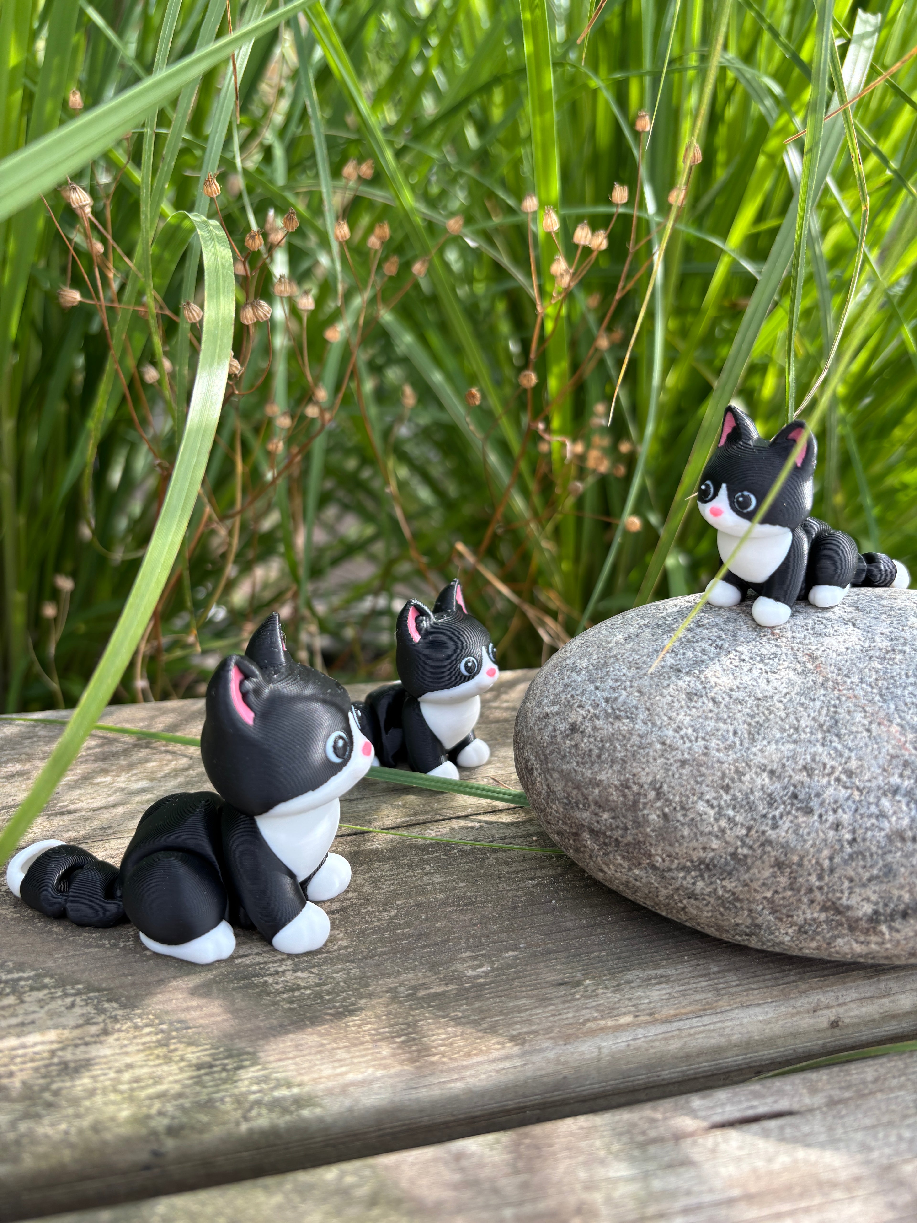 Mittens, the Midnight Library Cat of Whimsey’s Window