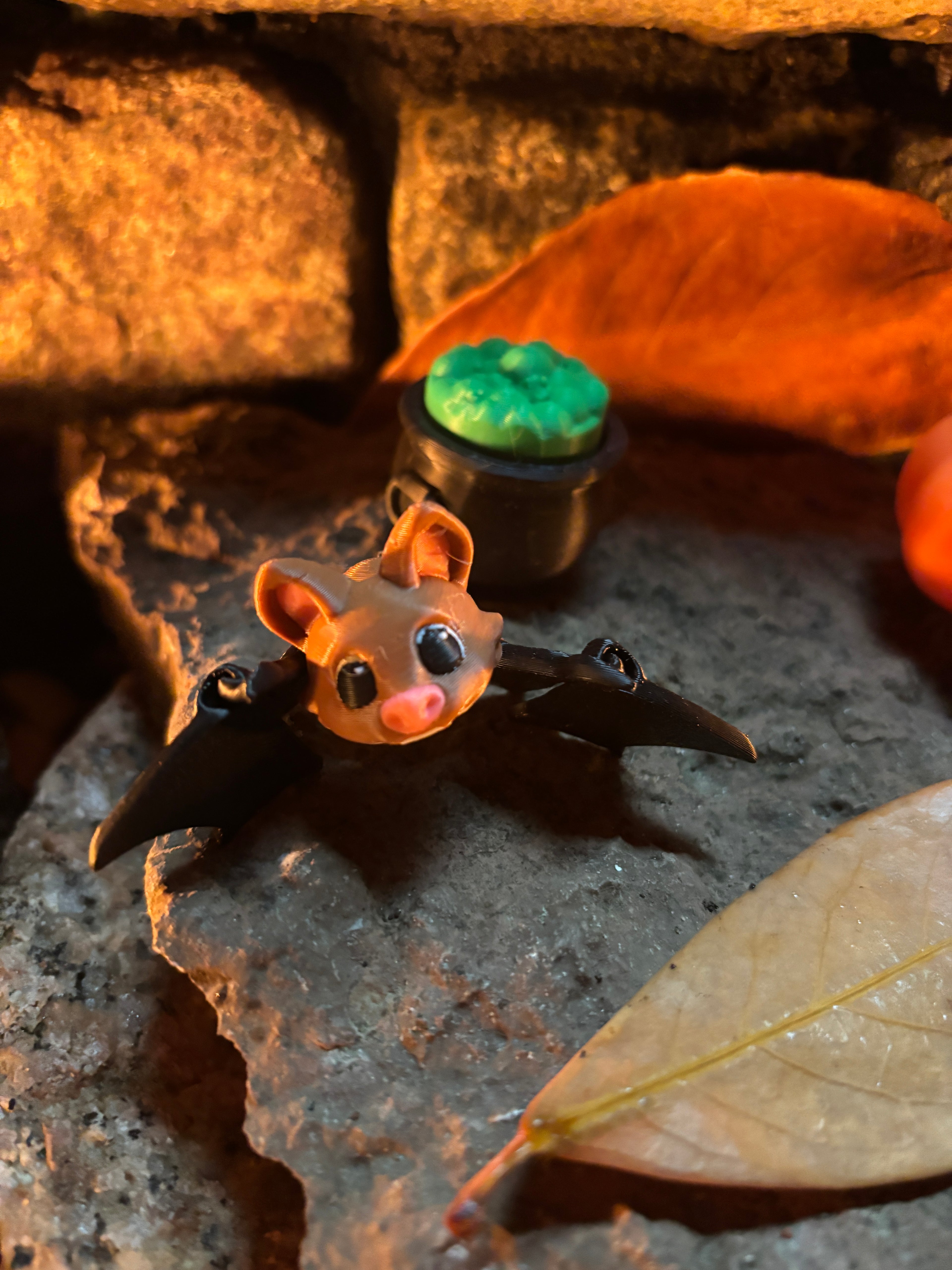 Pipsqueak Midnight (nicknamed “Pip” for friends)