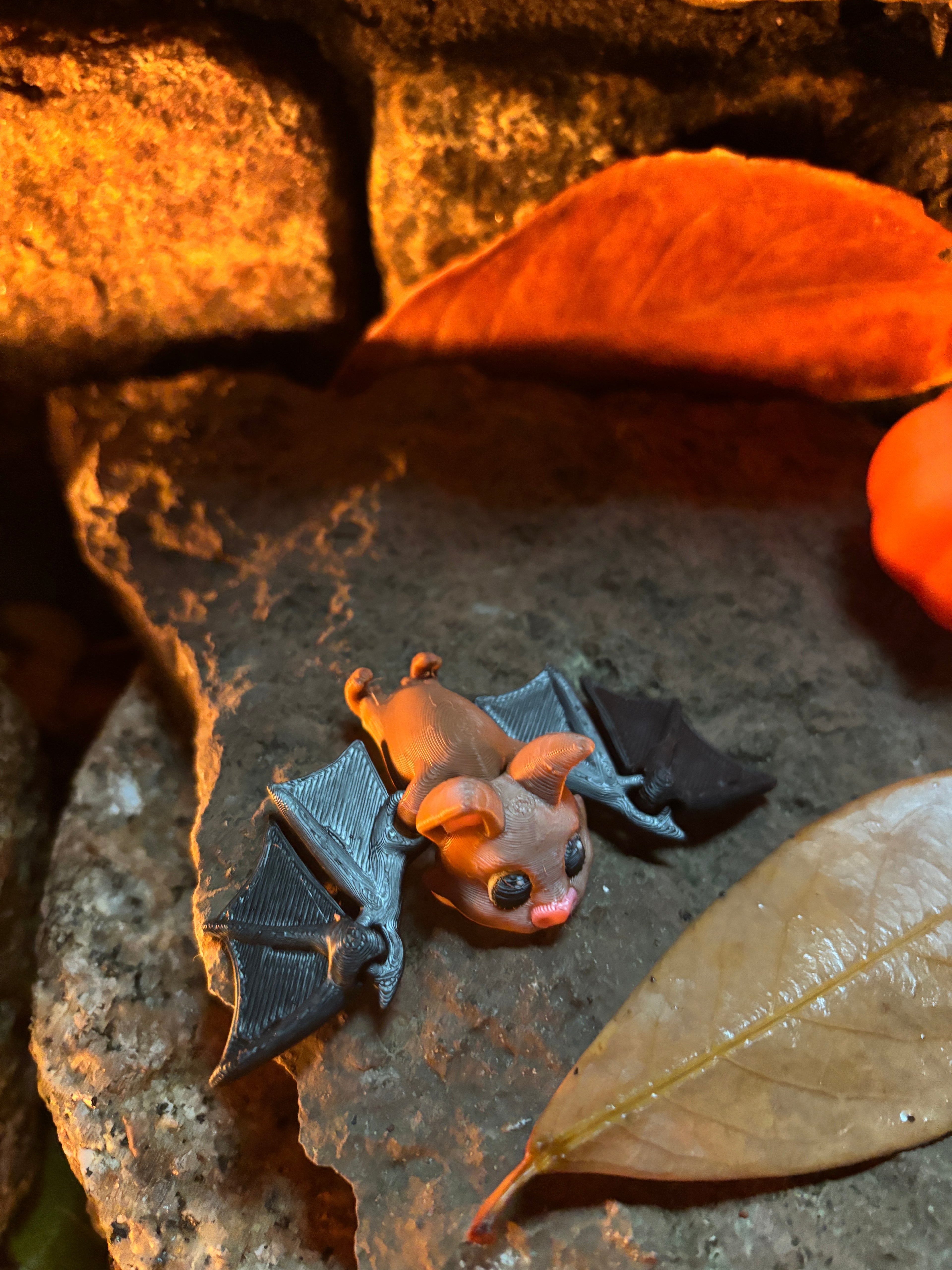 Pipsqueak Midnight (nicknamed “Pip” for friends)