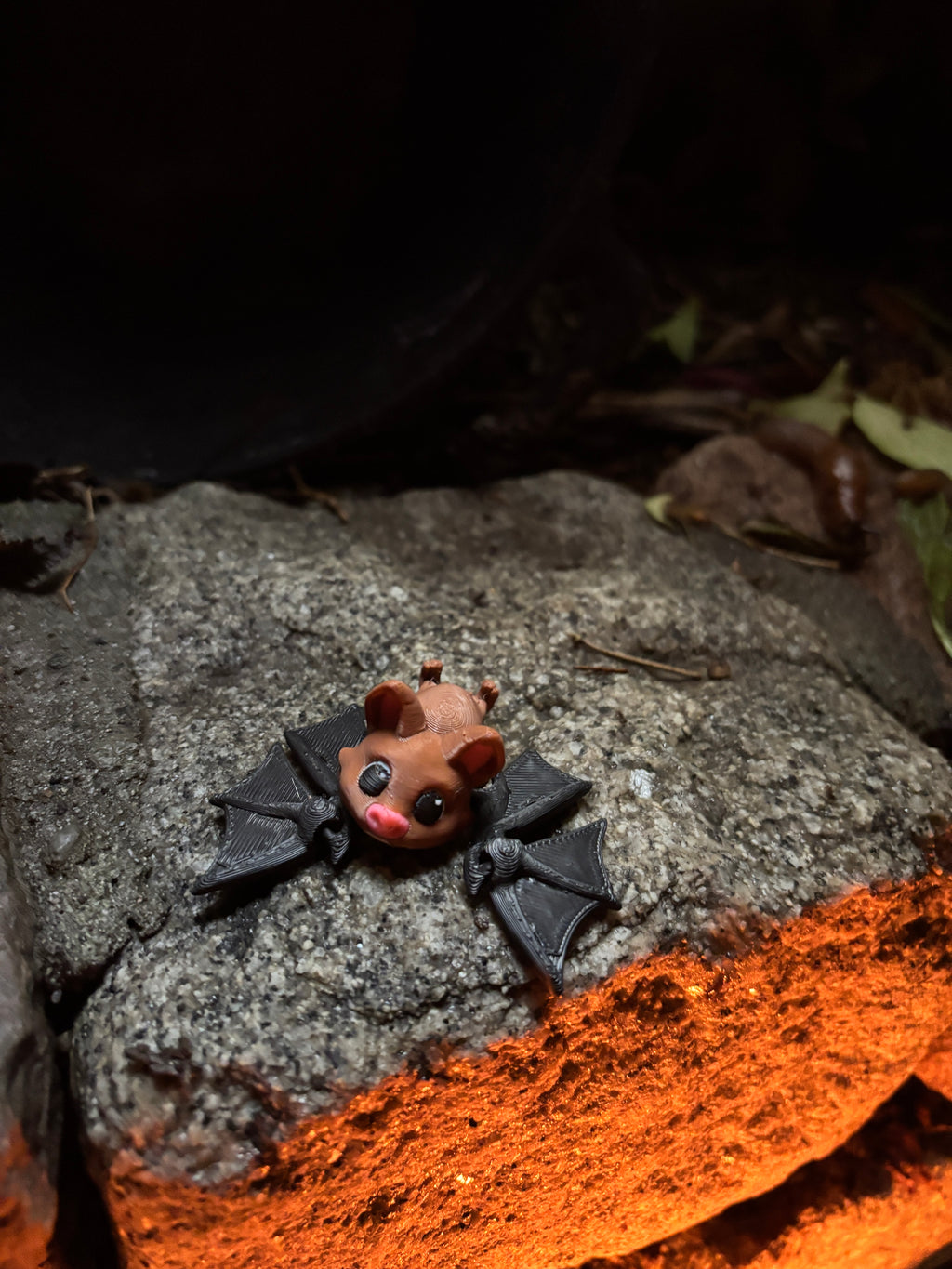 Pipsqueak Midnight (nicknamed “Pip” for friends)