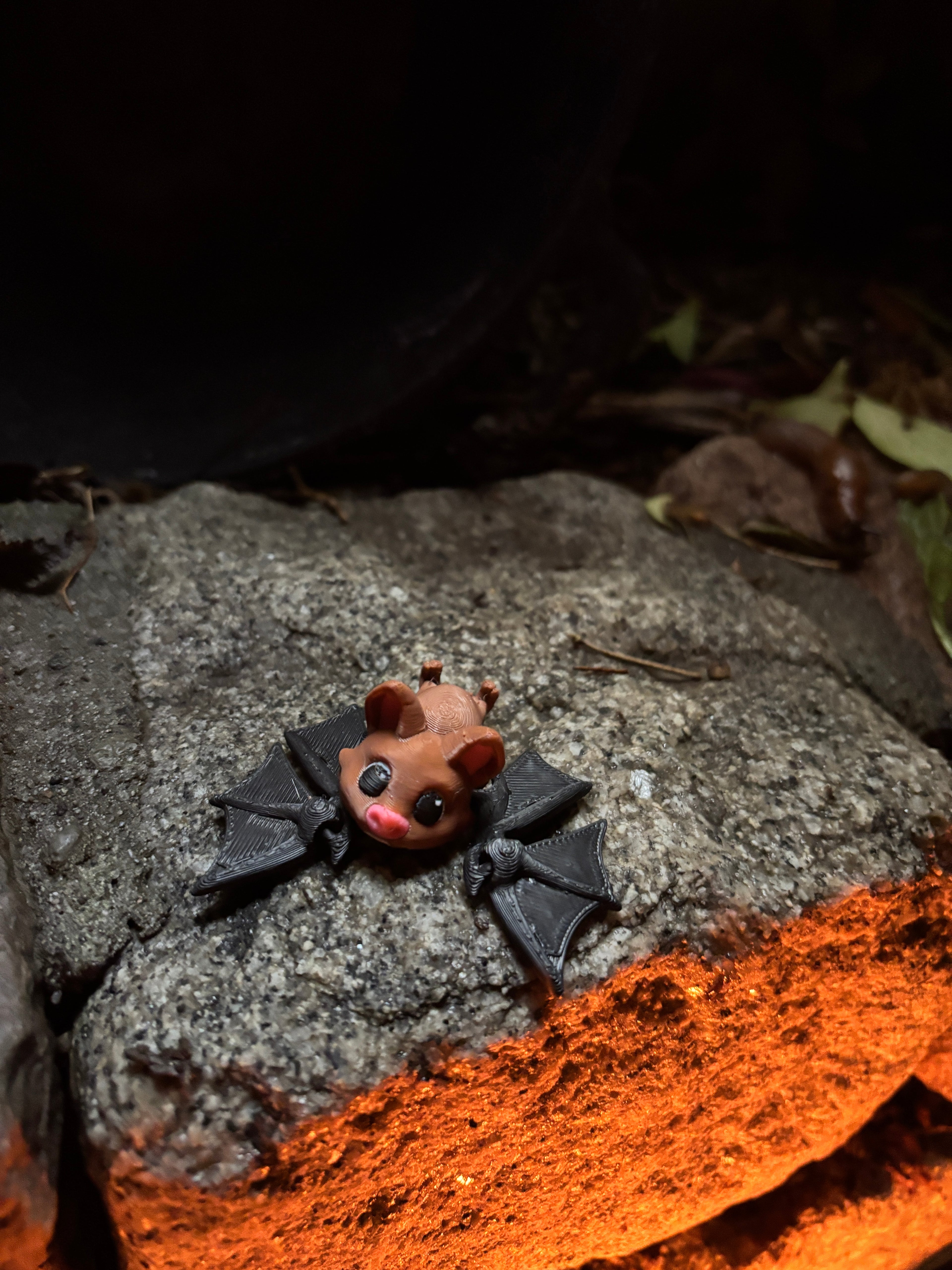 Pipsqueak Midnight (nicknamed “Pip” for friends)