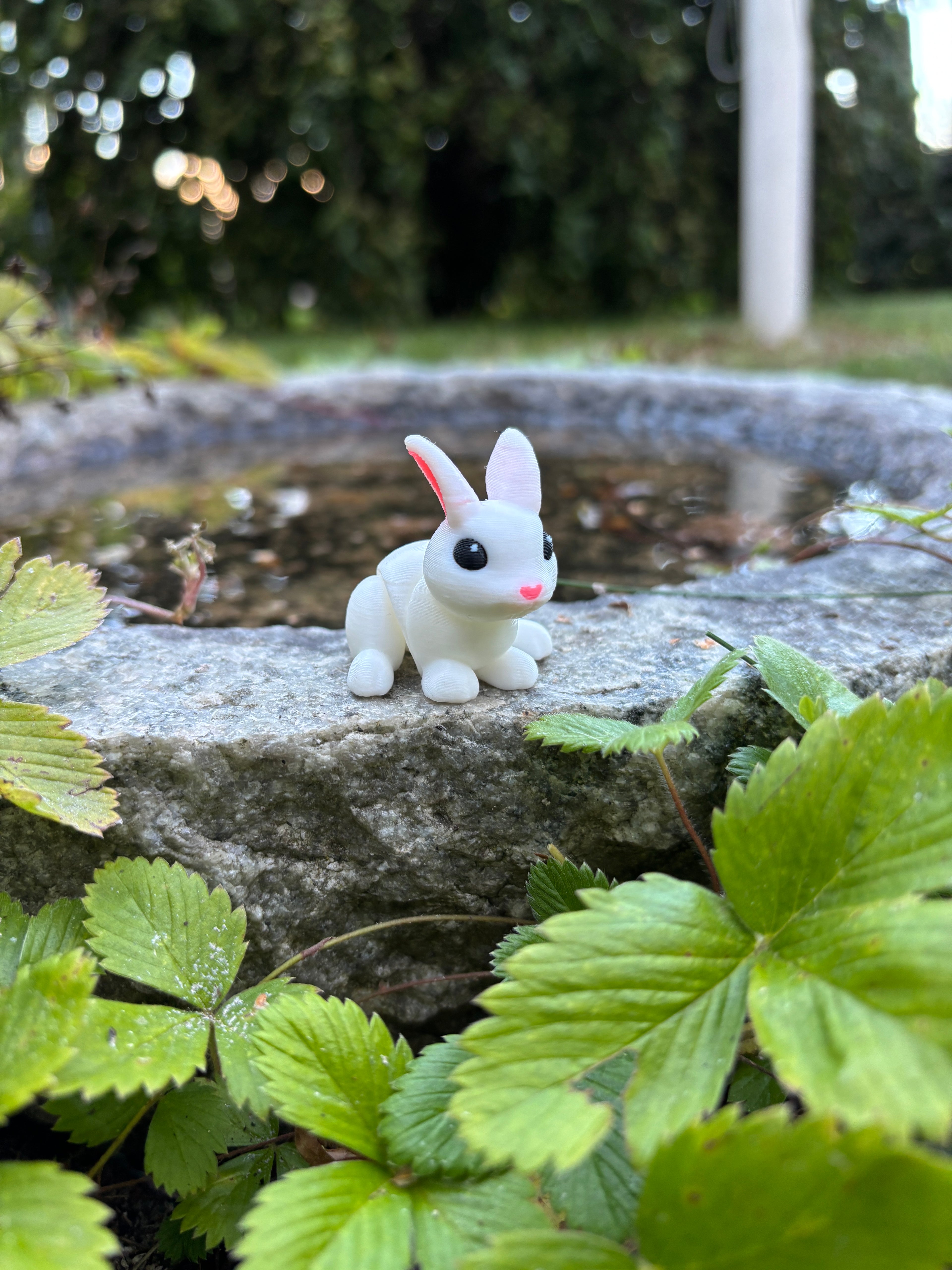 Thistle, the Moonbeam Bunny of the Magical Farm