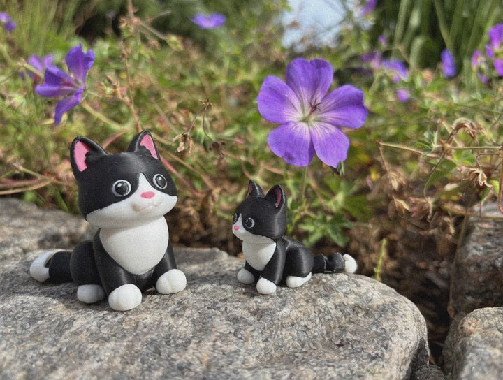 Mittens, the Midnight Library Cat of Whimsey’s Window